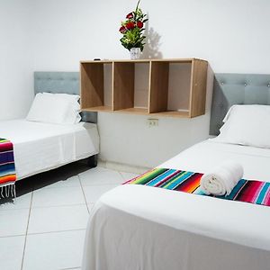 Habitación Económica con 2 Camas Individuales